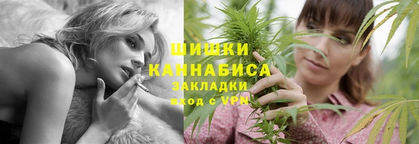 соль ск Рославль