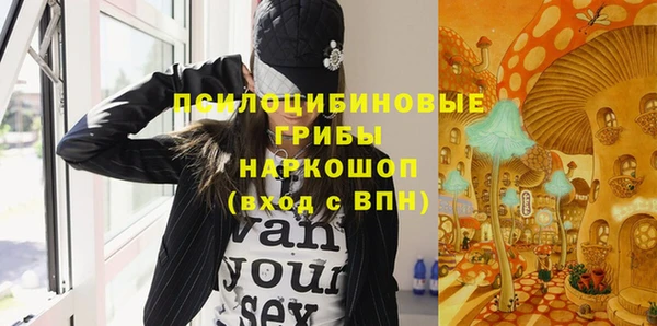 ПСИЛОЦИБИНОВЫЕ ГРИБЫ Абаза