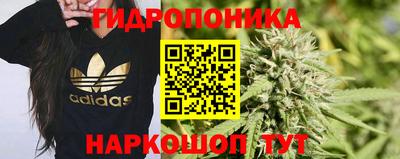 ECSTASY Лесосибирск