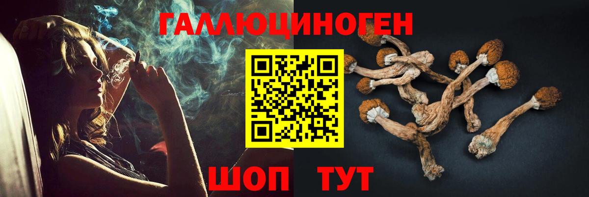 Галлюциногенные грибы GOLDEN TEACHER Ртищево
