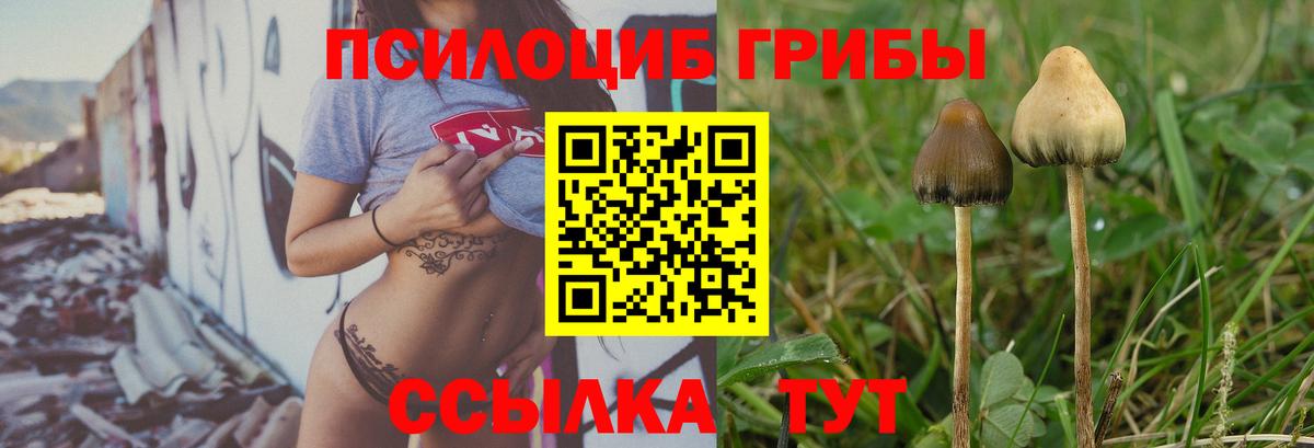 Ртищево  Псилоцибиновые грибы мухоморы  Вход с VPN 